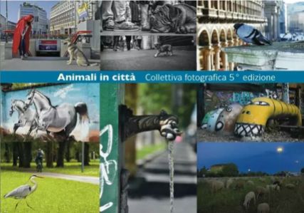 Animali in città - cartolina 1